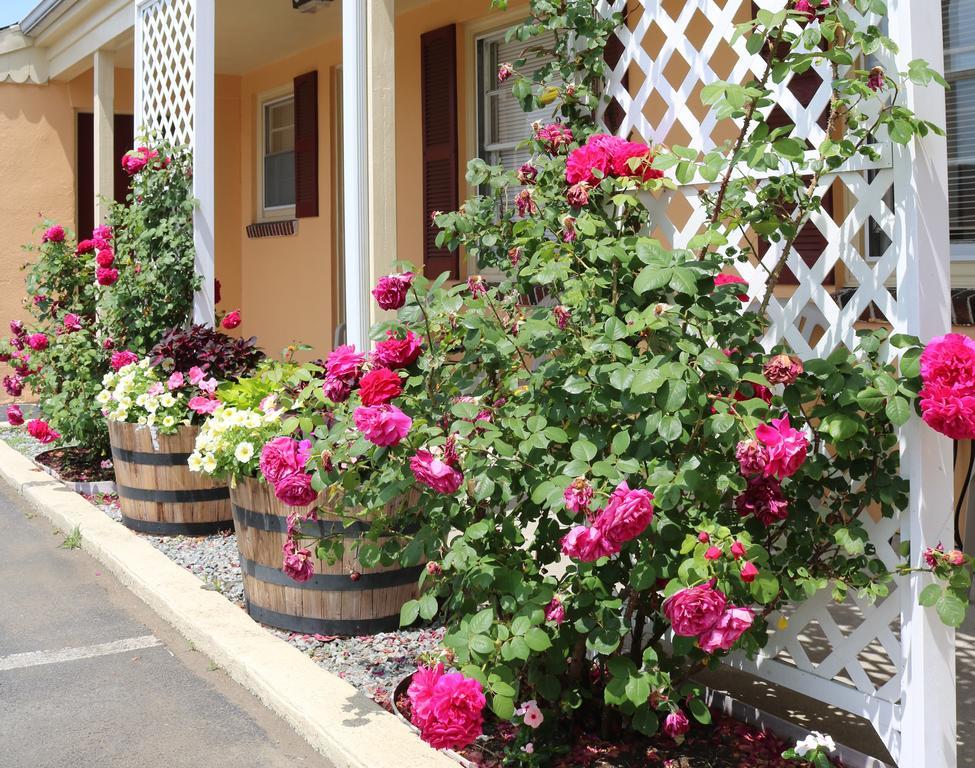 The Bay Willows Inn Middletown Buitenkant foto